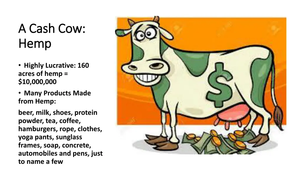 a cash cow a cash cow hemp hemp