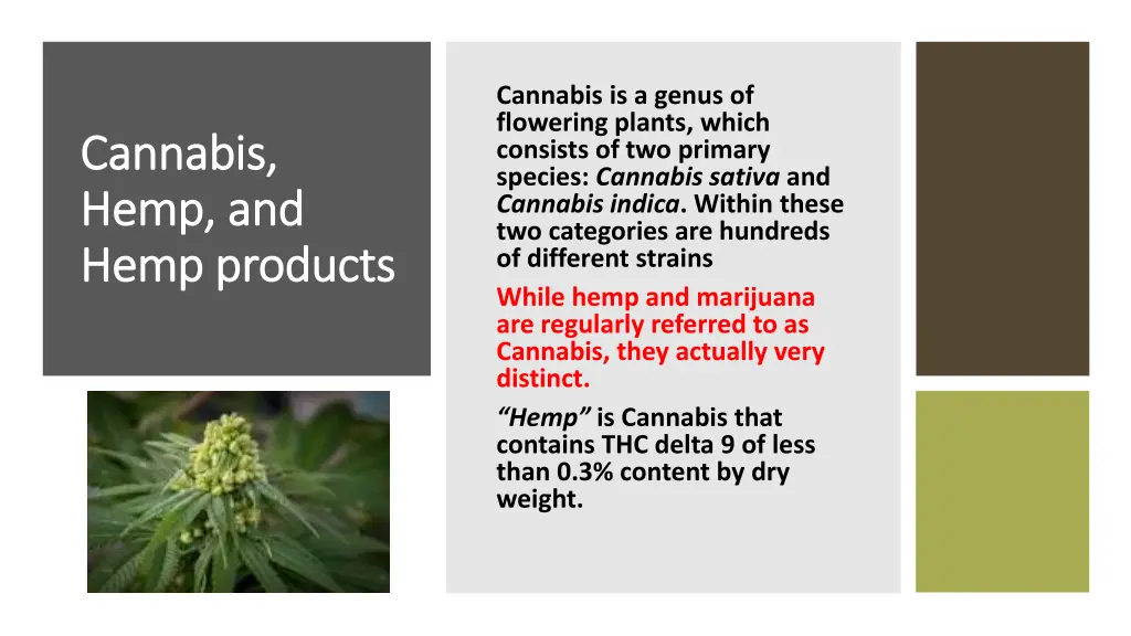 cannabis is a genus of flowering plants which