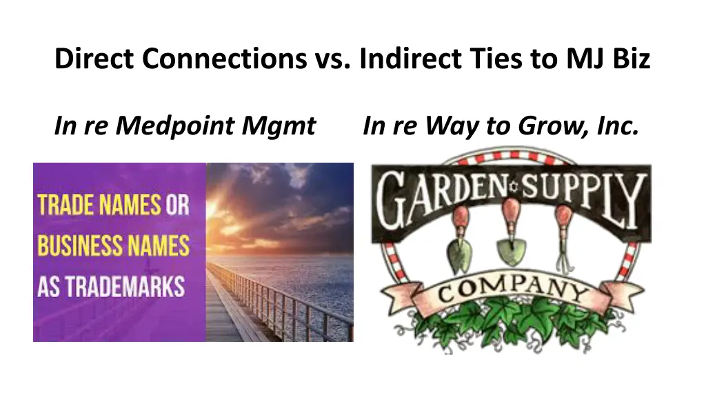 direct connections vs indirect ties to mj biz