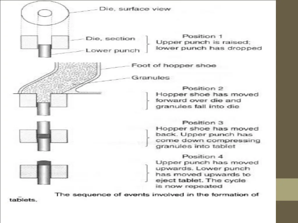 slide7