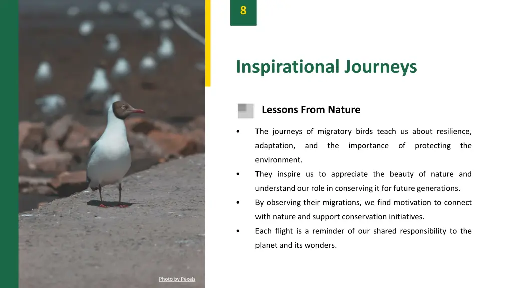 slide10