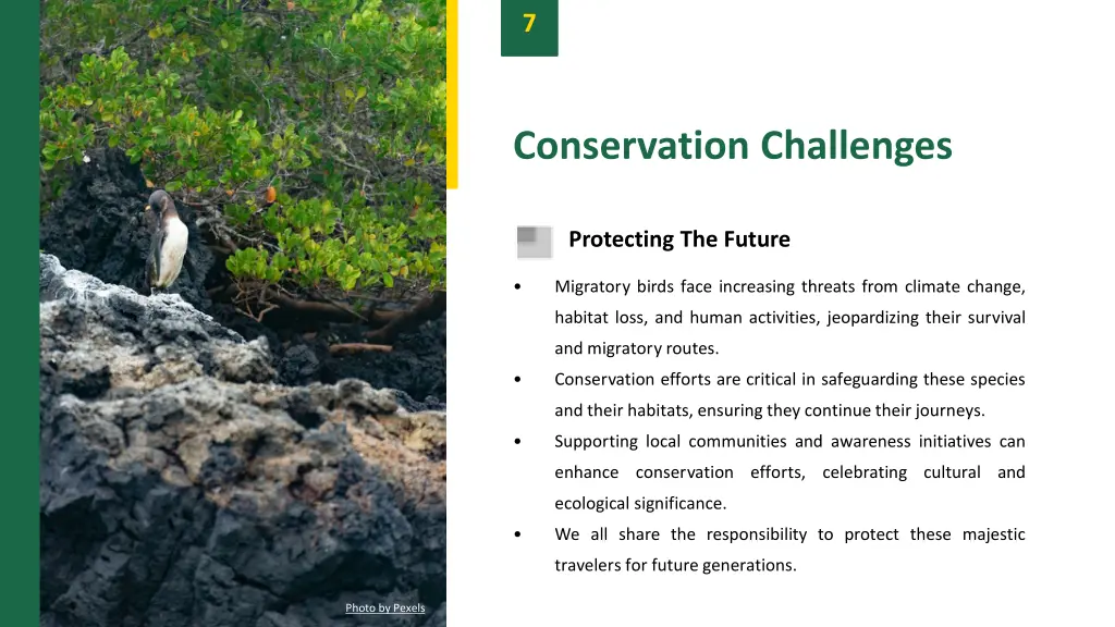 slide9