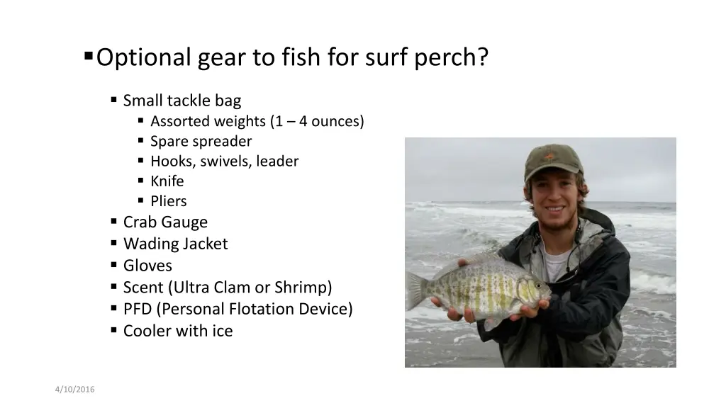 optional gear to fish for surf perch