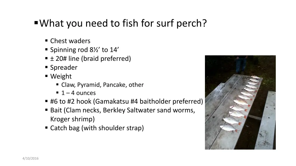 what you need to fish for surf perch