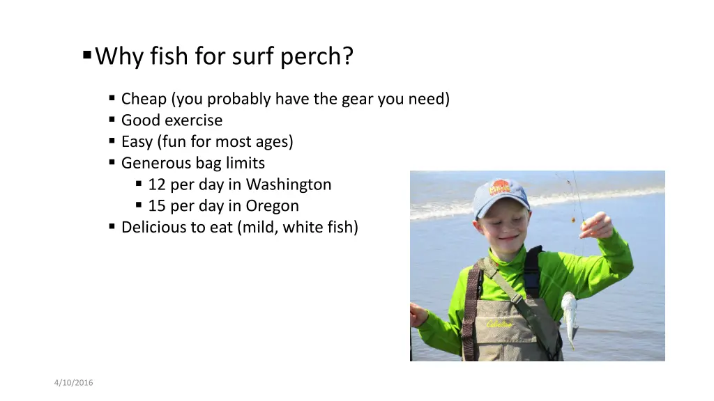 why fish for surf perch
