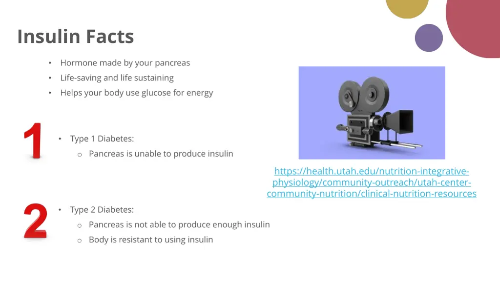 insulin facts