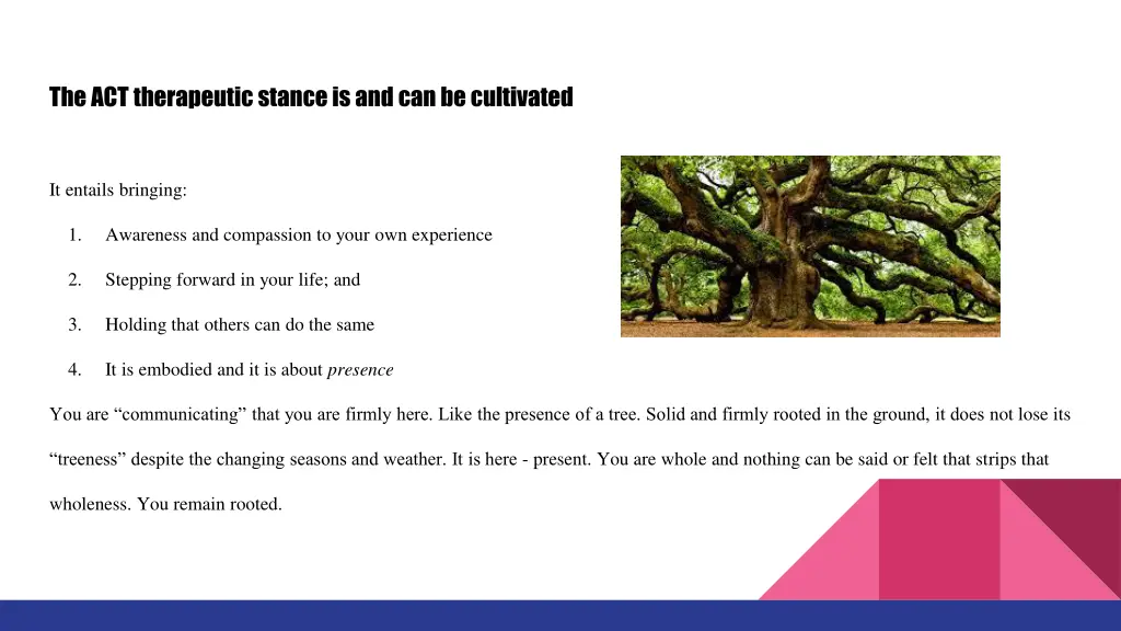 the act therapeutic stance