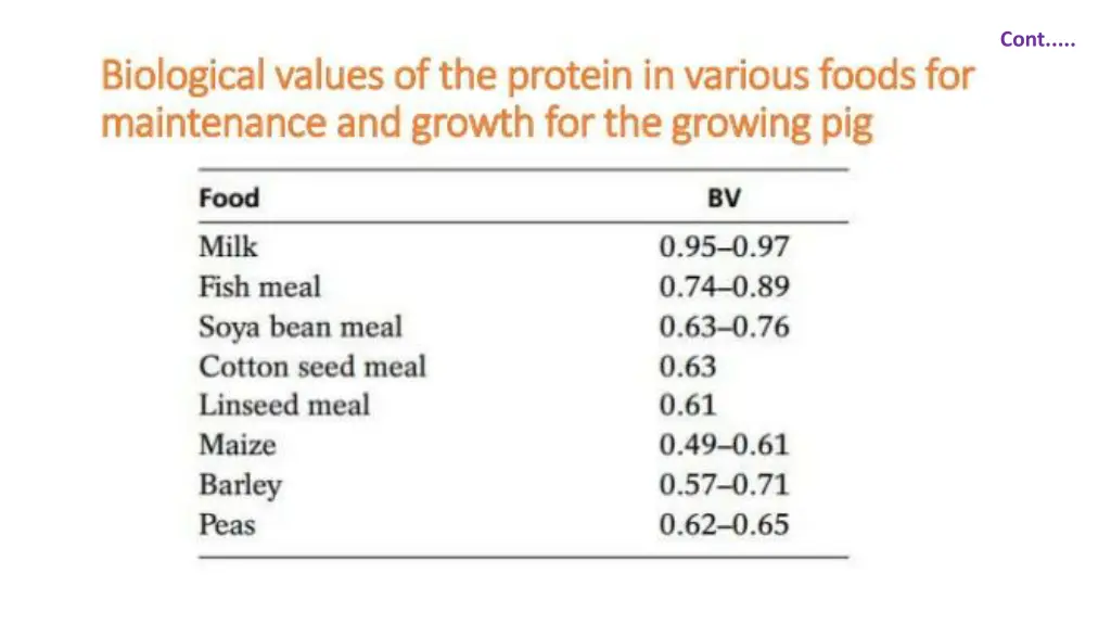 slide11