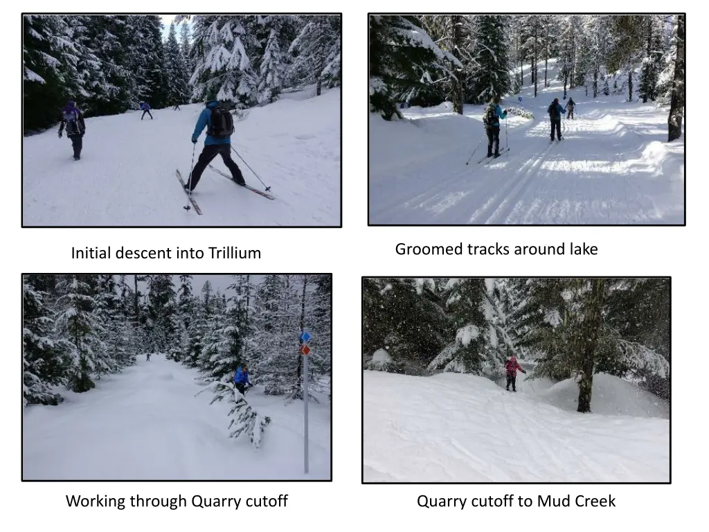 groomed tracks around lake