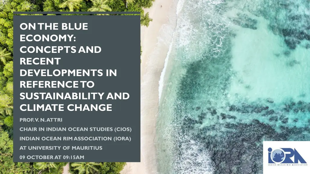 on the blue economy concepts and recent
