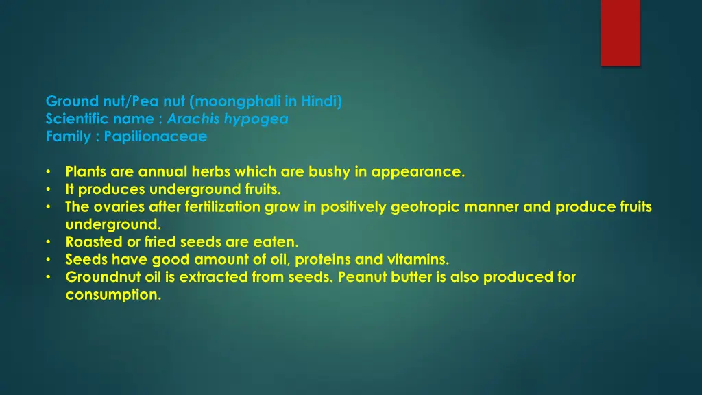ground nut pea nut moongphali in hindi scientific