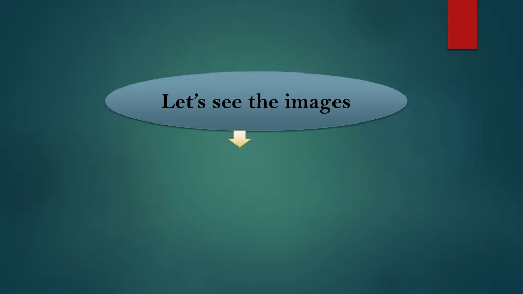 let s see the images