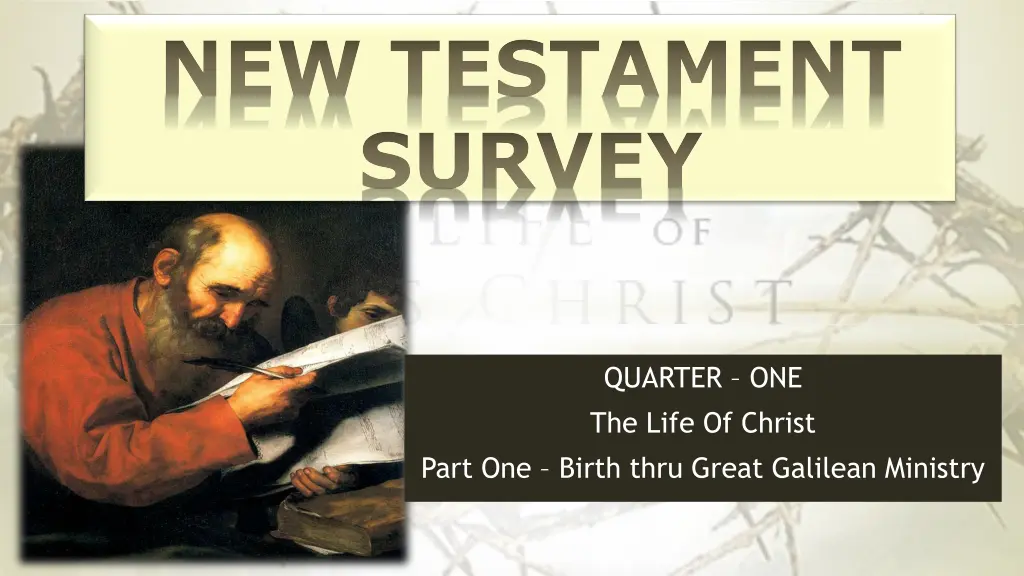 new testament survey
