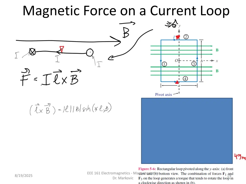 magnetic force on a current loop