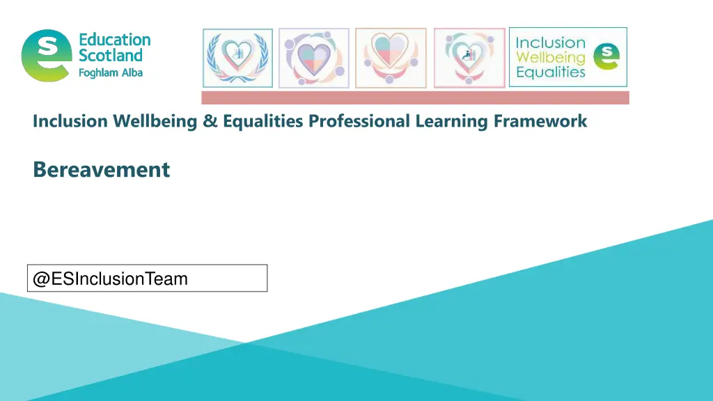 inclusion wellbeing equalities professional