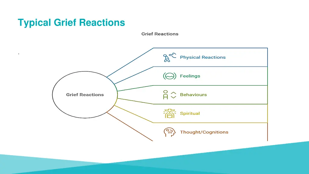 typical grief reactions