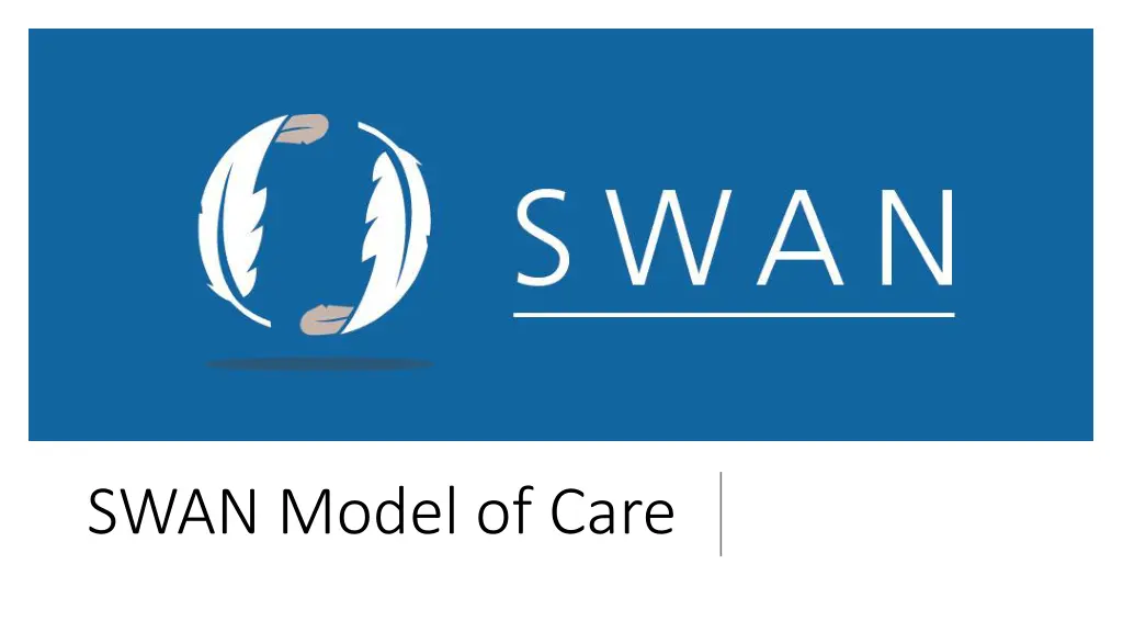 swan model of care