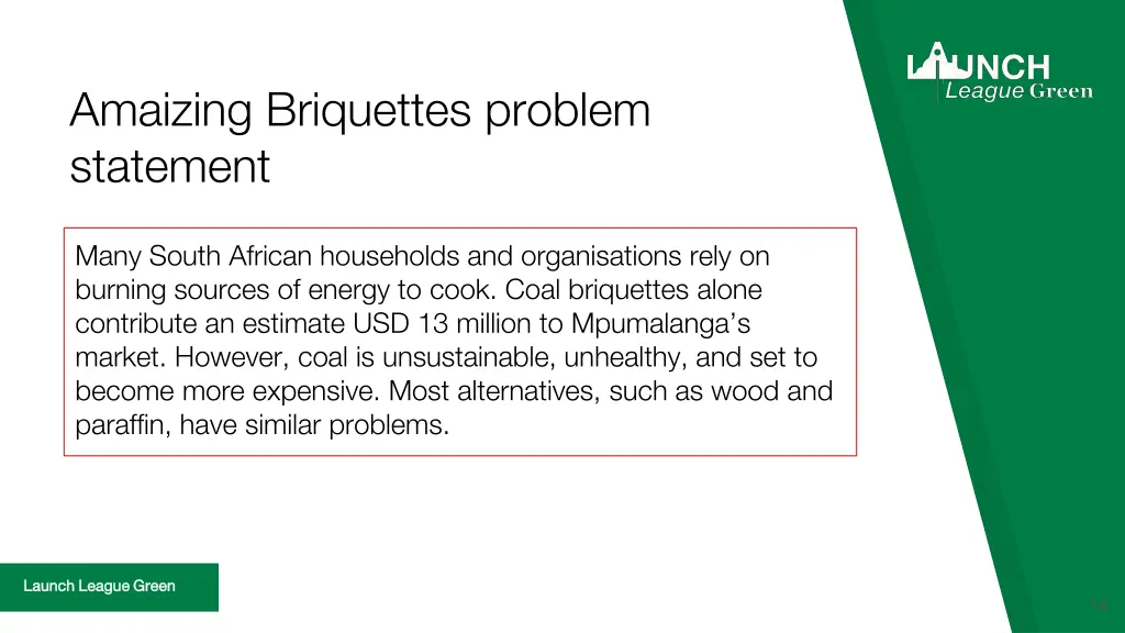 amaizing briquettes problem statement