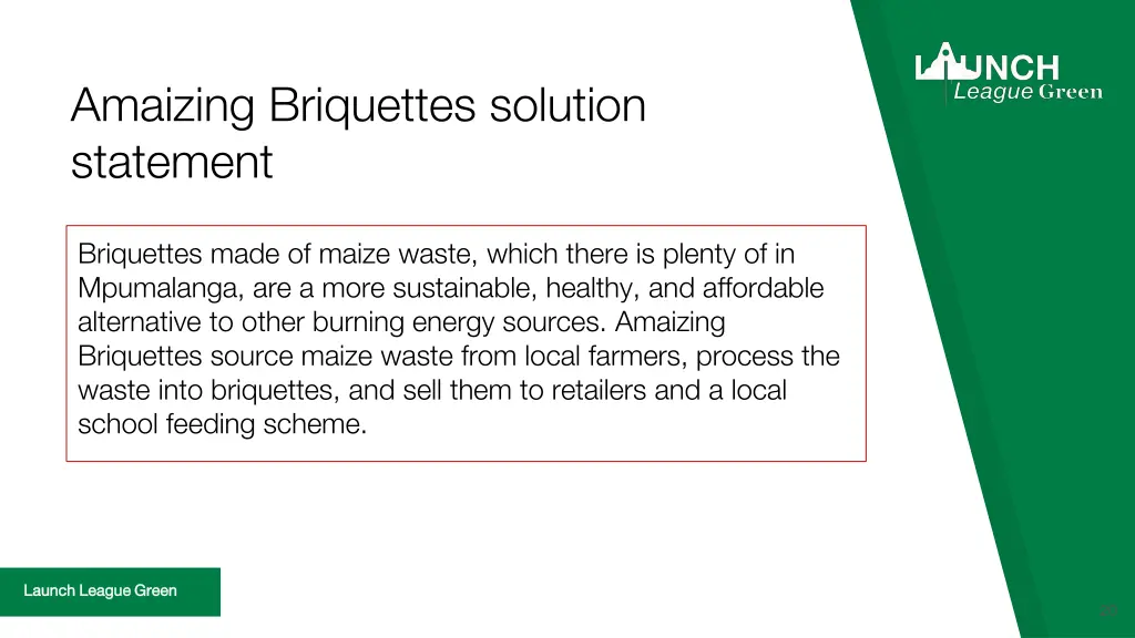 amaizing briquettes solution statement