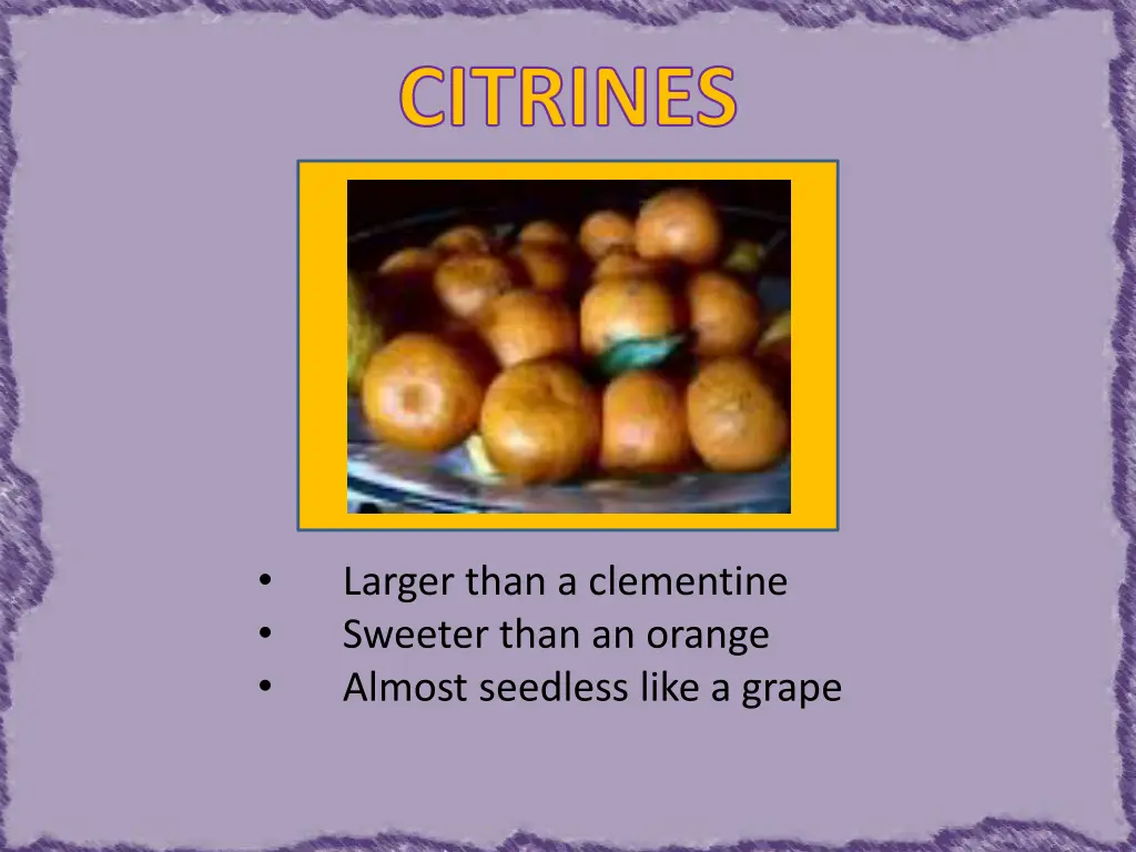 citrines 1