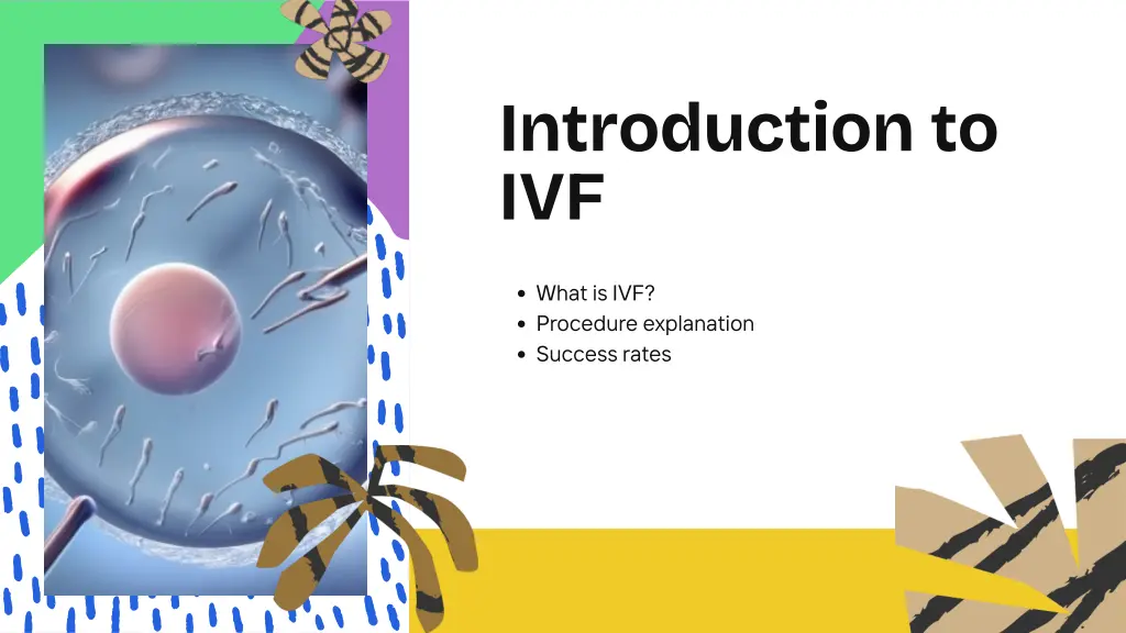 introduction to ivf