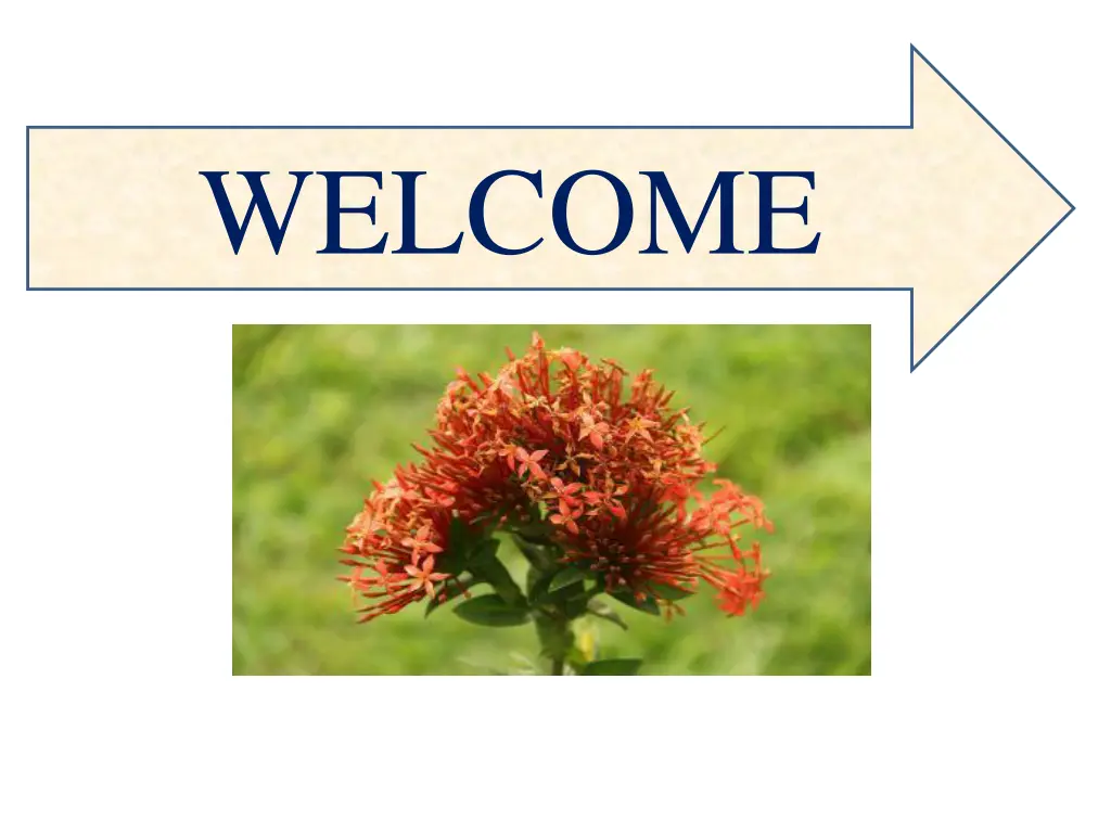 welcome