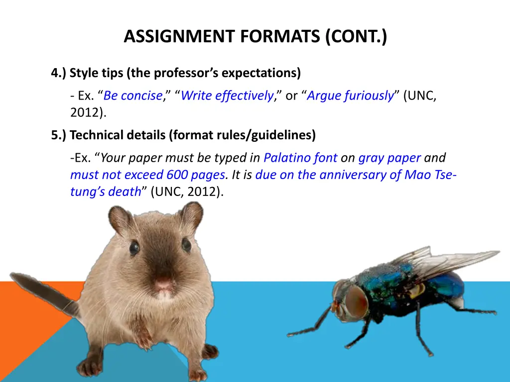 assignment formats cont