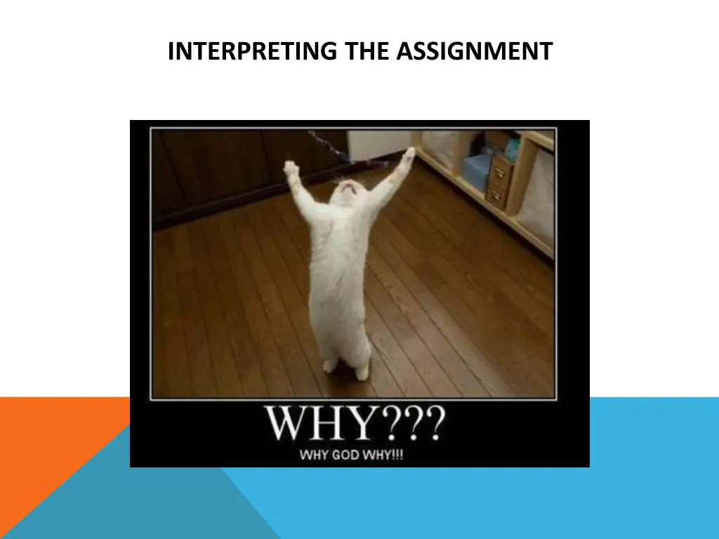 interpreting the assignment