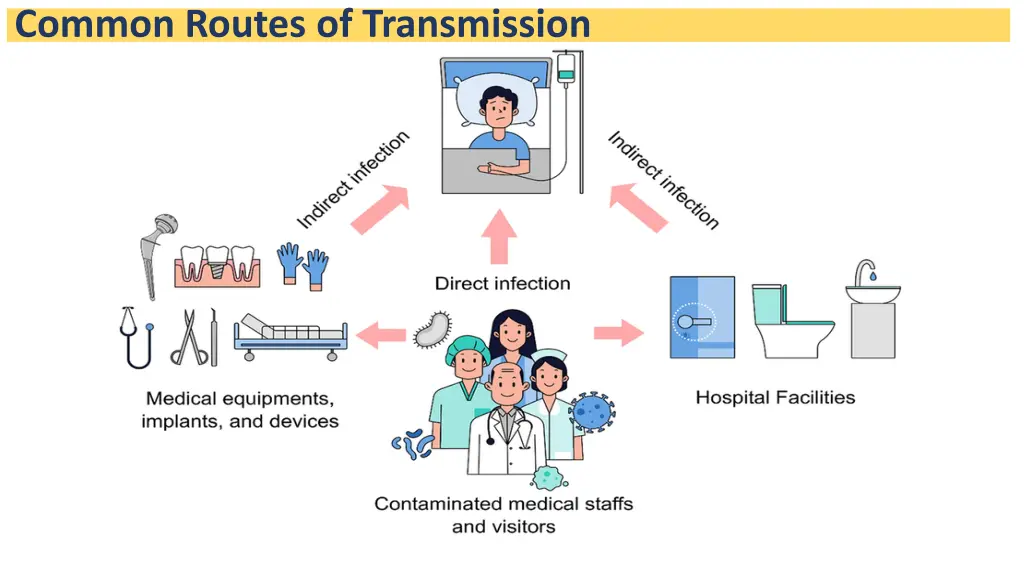 common routes of transmission