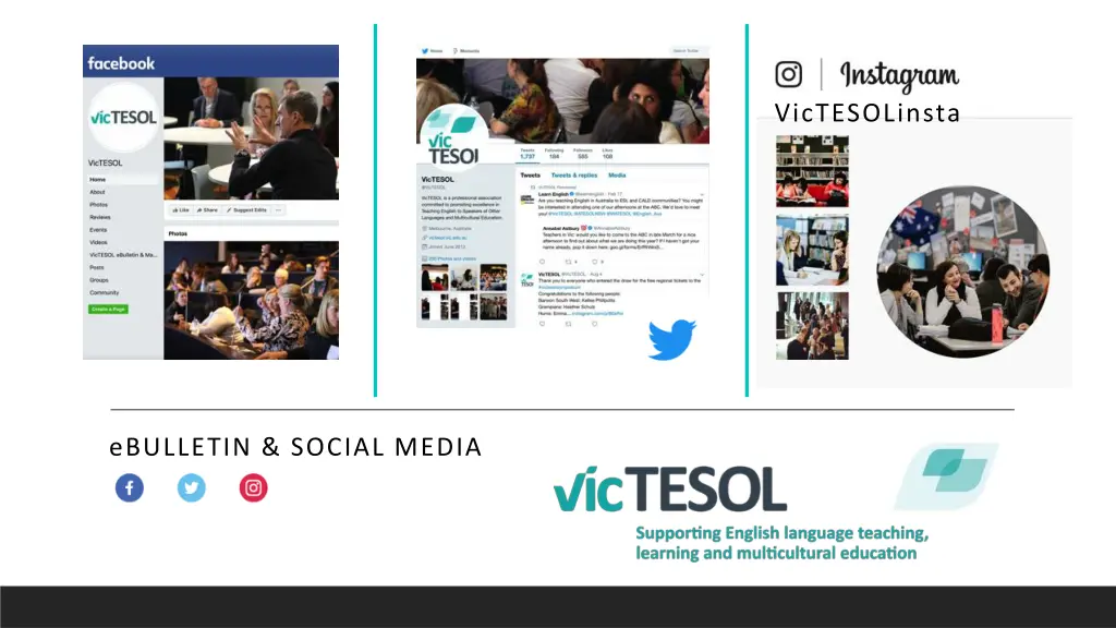 victesolinsta