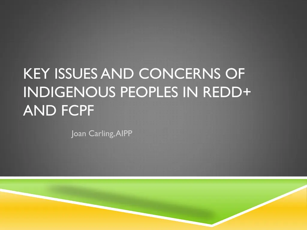 key issues and concerns of indigenous peoples