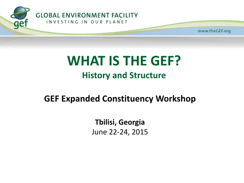 what is the gef history and structure