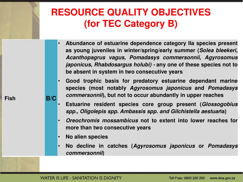 resource quality objectives for tec category b 4