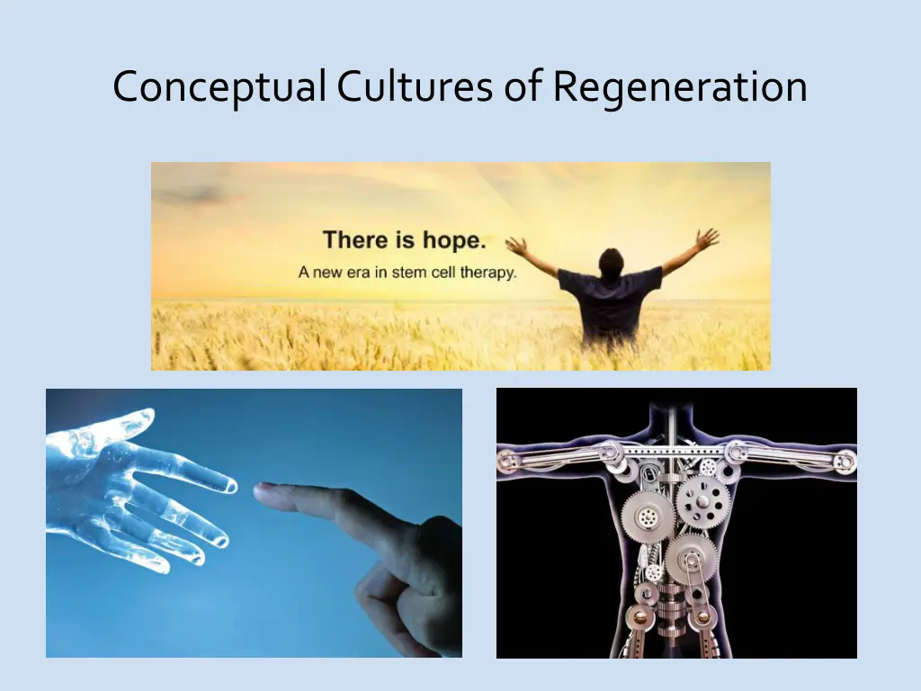 conceptual cultures of regeneration 1