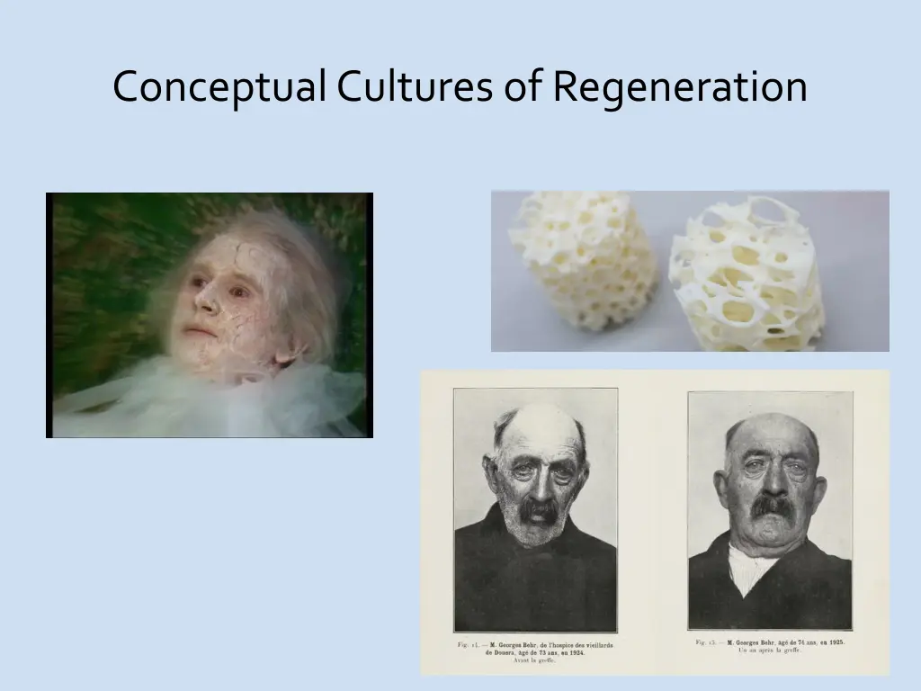 conceptual cultures of regeneration
