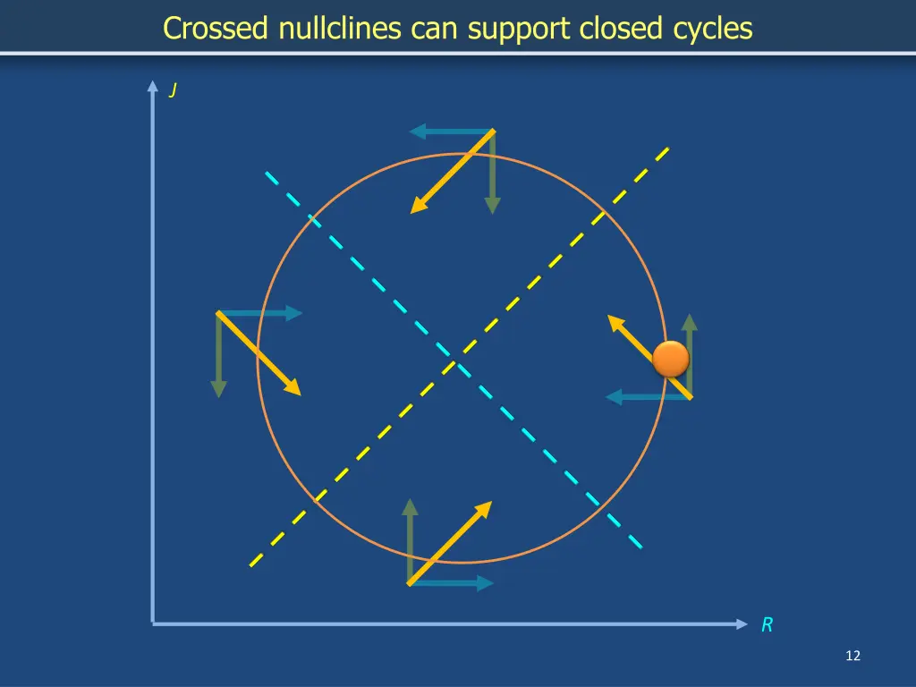 crossed nullclines can support closed cycles