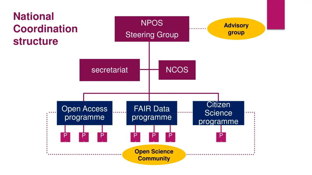 national coordination structure