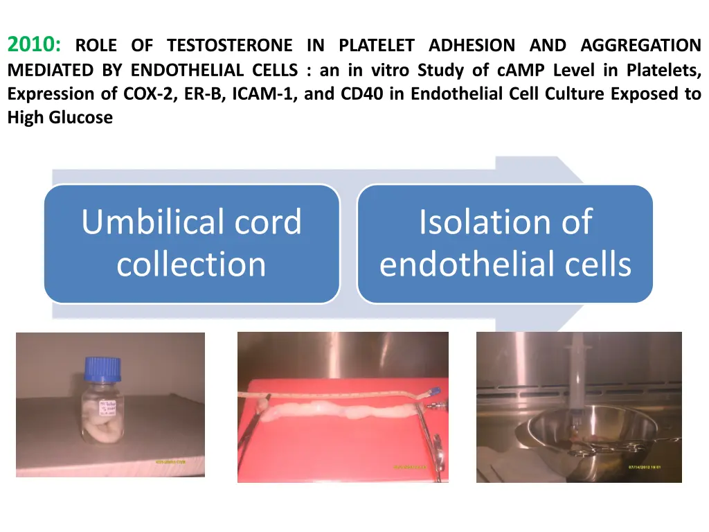 2010 role of testosterone in platelet adhesion