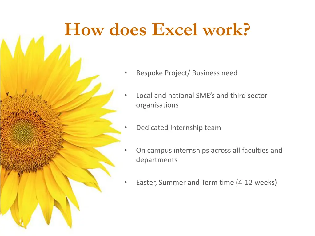 how does excel work