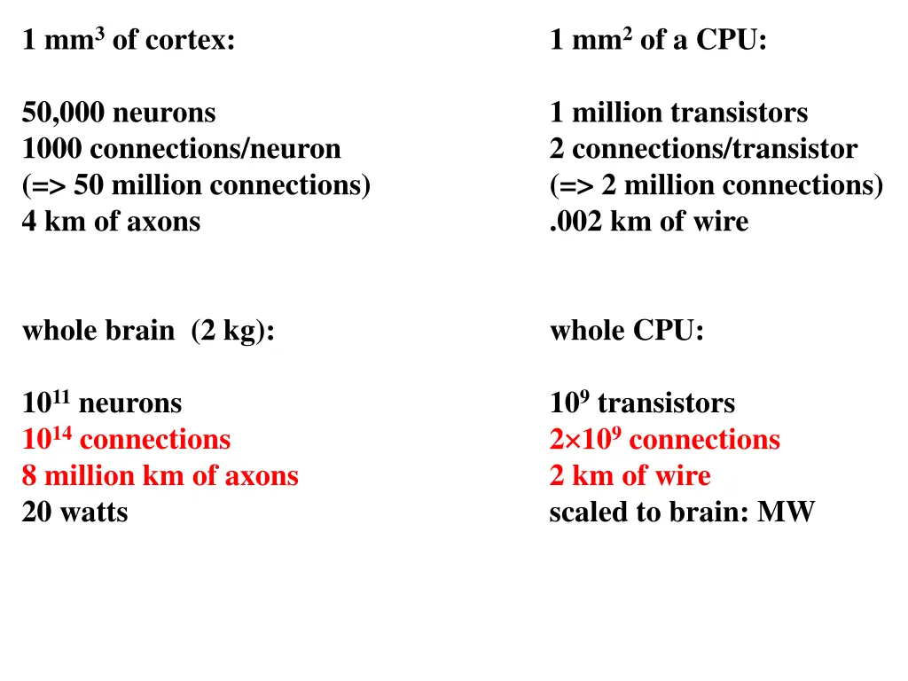 1 mm 3 of cortex 1