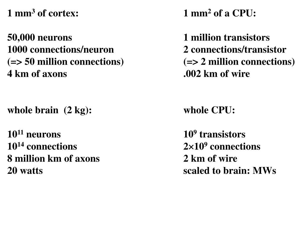 1 mm 3 of cortex