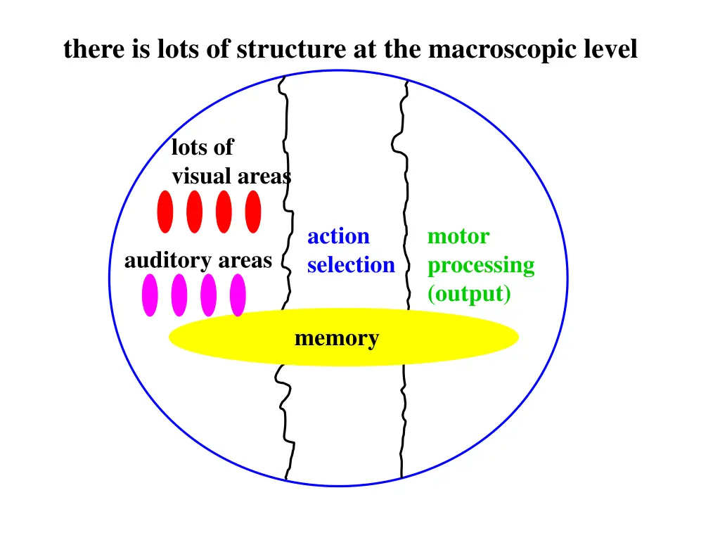 there is lots of structure at the macroscopic 1