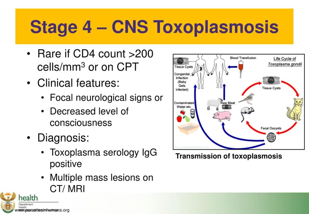 stage 4 cns toxoplasmosis rare if cd4 count