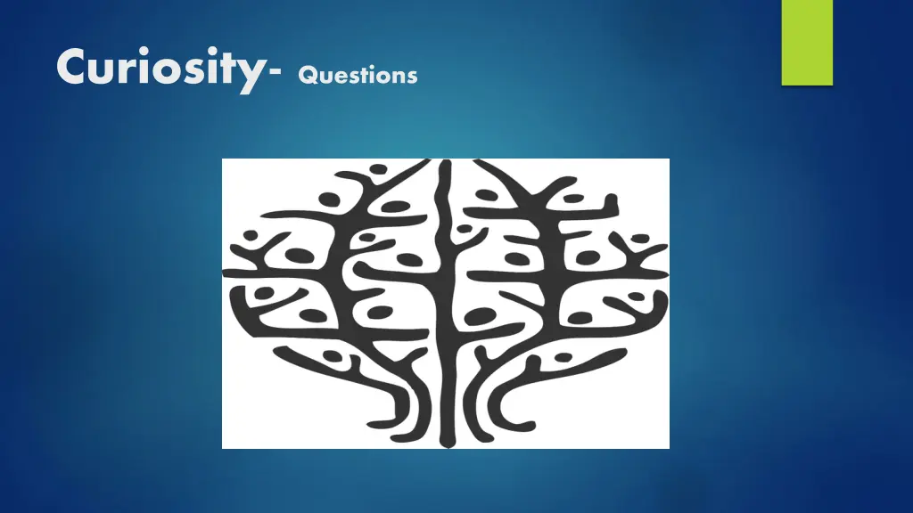 curiosity questions