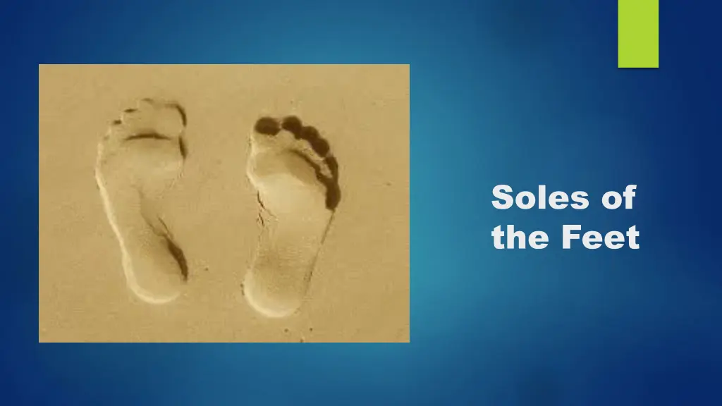 soles of the feet 1