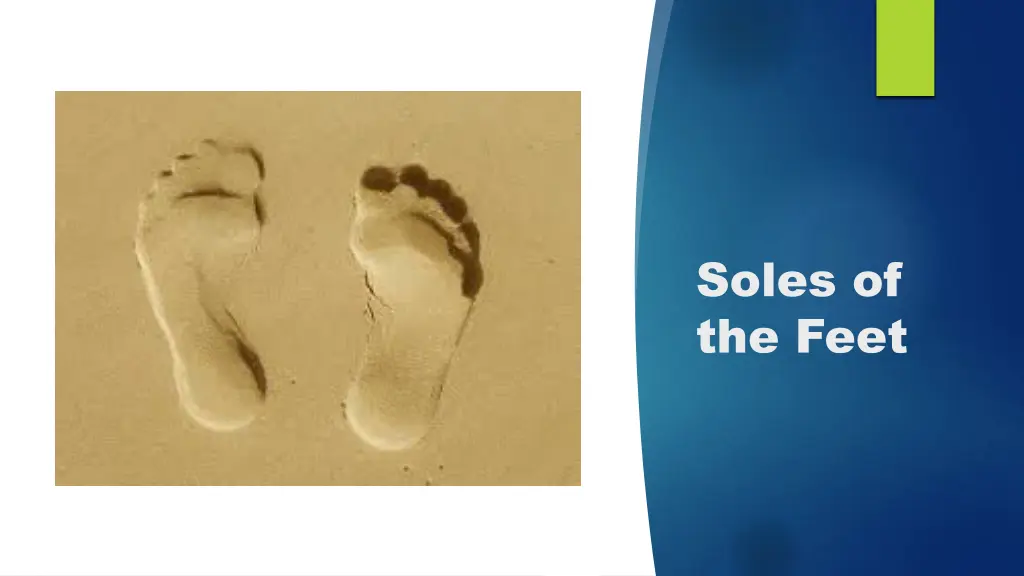 soles of the feet