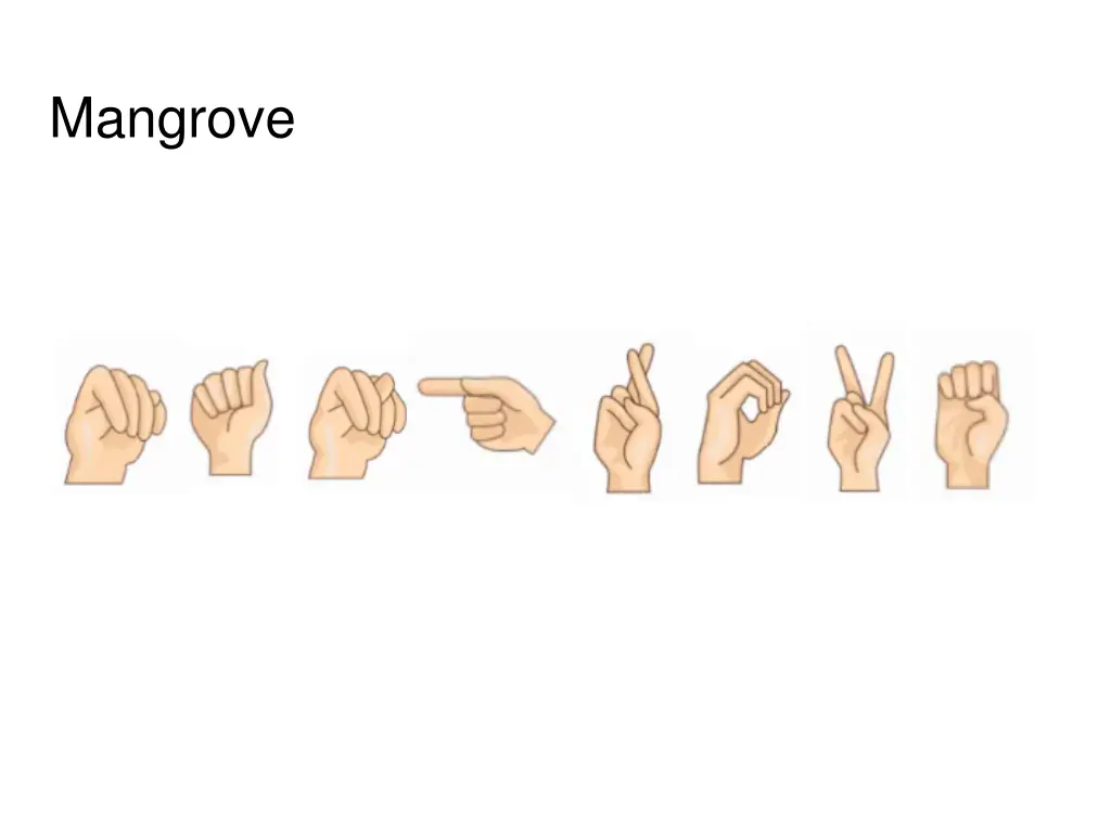 mangrove
