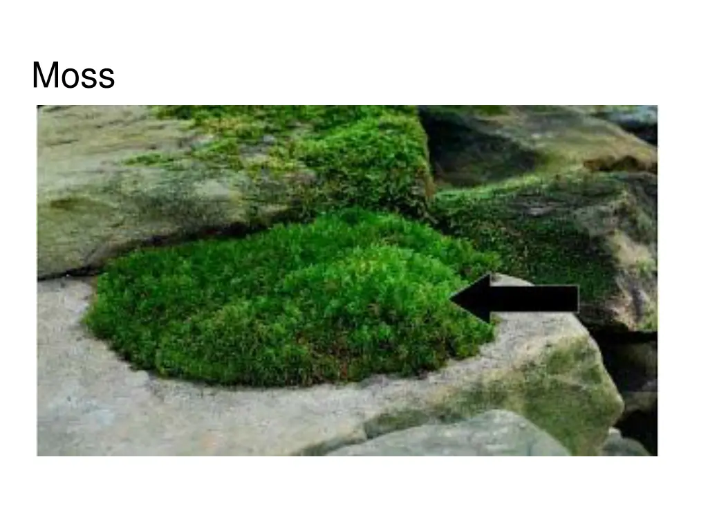 slide15