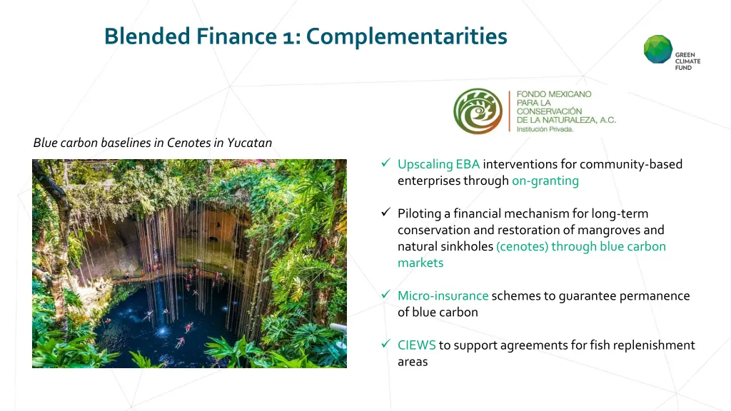 blended finance 1 complementarities