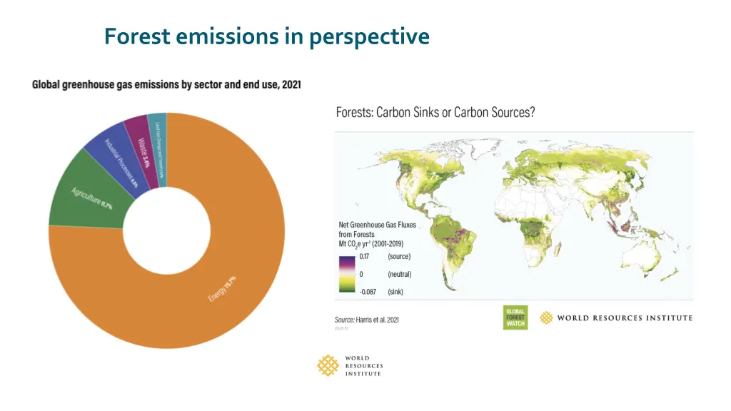 forest emissions in perspective